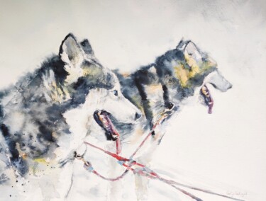 Huskies