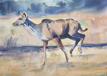 Running female kudu