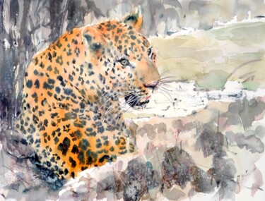 LEOPARD ON THE RIVERBANK