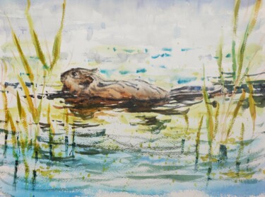 Swimming Beaver