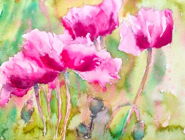 Pink poppies in a golden green meadow