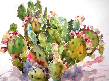 Prickly pear cactus plant