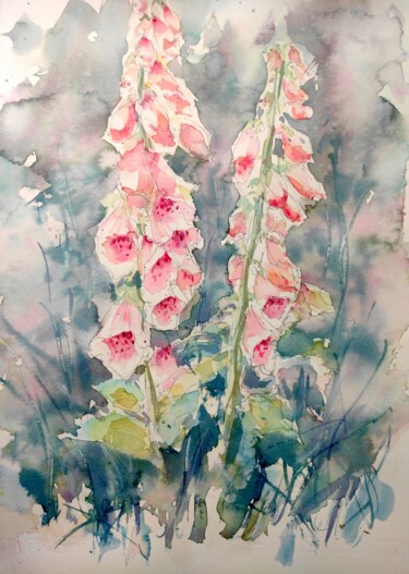 Peachy coloured foxgloves