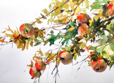 Pomegranate tree branch