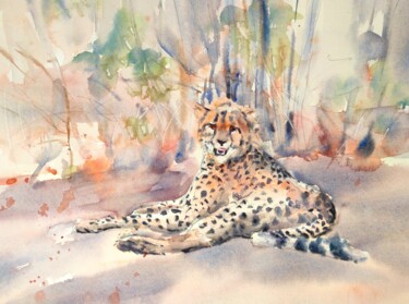 Resting cheetah