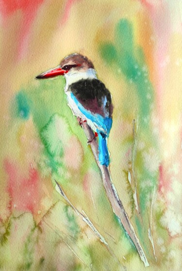 African kingfisher