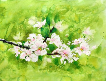 Spring Cherry Blossoms