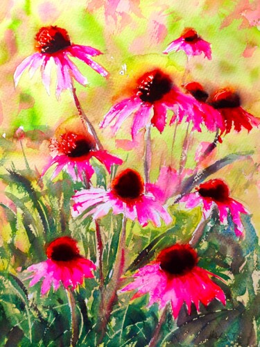 Echinacea, Purple coneflowers